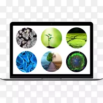 ������ý�弼��-������