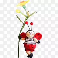 甲虫瓢虫瓢虫-空若网 甲虫瓢虫瓢虫-空若网