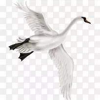 �������Ѽ�׳��-������