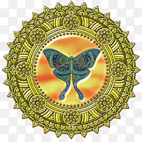 �������ո���ֽ������Ӱʦ-ά������-������