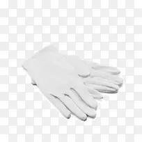 ������ָ����ģ��-������