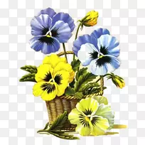 潘西十字绣刺绣绘画-空若网 潘西十字绣刺绣绘画-空若网