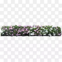 »¨Ô°Ê½¶¯Îï-¿ÕÈôÍø »¨Ô°Ê½¶¯Îï-¿ÕÈôÍø