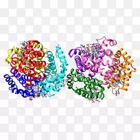 直线点剪辑艺术镰刀细胞-空若网 直线点剪辑艺术镰刀细胞-空若网