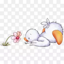 早安贺卡贴纸摄影-空若网 早安贺卡贴纸摄影-空若网