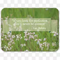 ²Ýƺ²ÝµéÒ°»¨²Ý±¾Ö²ÎïÞ¹Ò²Ý׿¸¸Ä¸ËïÅ®-¿ÕÈôÍø ²Ýƺ²ÝµéÒ°»¨²Ý±¾Ö²ÎïÞ¹Ò²Ý׿¸¸Ä¸ËïÅ®-¿ÕÈôÍø