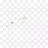 �׽�ͼ��-��Ⱥ-������