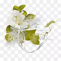 花卉设计.婚礼元素-空若网 花卉设计.婚礼元素-空若网