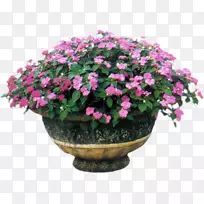 ���ɻ�һ����ֲ�￪��ֲ��.����Ͱ-������