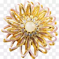 胸针宝石体珠宝首饰设计.宝石-空若网 胸针宝石体珠宝首饰设计.宝石-空若网