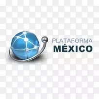 ��־����ʯ-���-������