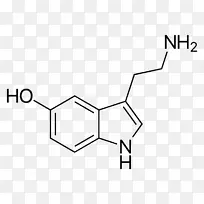 �������ữ����-������