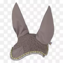 马匹阿齐达·阿格里科拉?卡斯西纳马术灰褐色面纱-空若网 马匹阿齐达·阿格里科拉?卡斯西纳马术灰褐色面纱-空若网