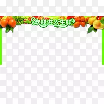 奥格里斯蔬菜水果信息门-空若网 奥格里斯蔬菜水果信息门-空若网