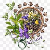 中心博客切花-空若网 中心博客切花-空若网