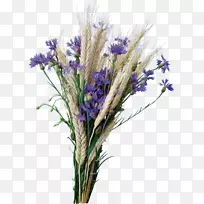 ���׻�u0412u0430u441u0438u043bu044cu043au0438������-��ɫ޹�²�-������