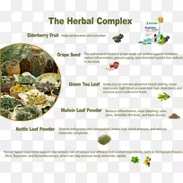 �����κ���ϵͳ�Һ�ɷ�-����-������