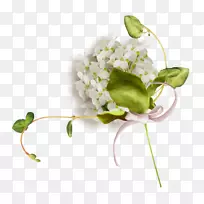 ������Ƽ���������-������