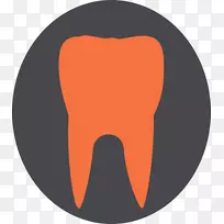 标志字体-橙色分支-空若网 标志字体-橙色分支-空若网