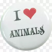 ��װ����ʱ��-������-������