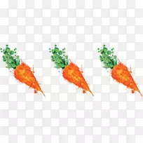 叶草科-叶-空若网 叶草科-叶-空若网