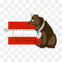 小狗品种j mthund saluki澳大利亚牧羊犬-小狗-空若网 小狗品种j mthund saluki澳大利亚牧羊犬-小狗-空若网