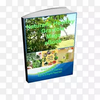 ��³ϣ�غ͸����ް���100 Mal st rker f��r die kembsbek mpfung ALS eine���ơ���Mehr ALS das��Ihnen die mediziner verschwegen��ˮ�����̬ϵͳ-������