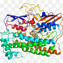 ���������л����߼�������-������