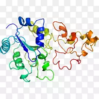 线点生物剪贴画线-空若网 线点生物剪贴画线-空若网
