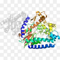 珠宝首饰系列剪贴画.珠宝-空若网 珠宝首饰系列剪贴画.珠宝-空若网