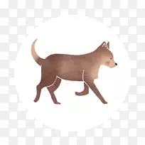 犬种鼻子野生犬-空若网 犬种鼻子野生犬-空若网