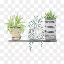 Ë®²Ê»ÏÂÔØ²åͼ.ÊÖ»æÂÌɫֲÎï-¿ÕÈôÍø Ë®²Ê»ÏÂÔØ²åͼ.ÊÖ»æÂÌɫֲÎï-¿ÕÈôÍø