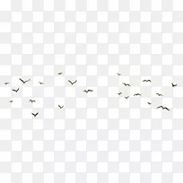 角欧式图案-鸟群-空若网 角欧式图案-鸟群-空若网