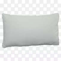 Ͷ����ͷ�泤����-������