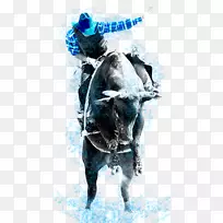 牛海报-牛仔竞技-空若网 牛海报-牛仔竞技-空若网