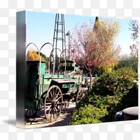 树车-树-空若网 树车-树-空若网