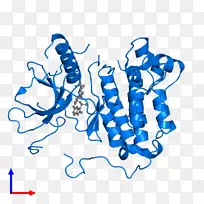 人体行为线有机体点剪贴画线-空若网 人体行为线有机体点剪贴画线-空若网