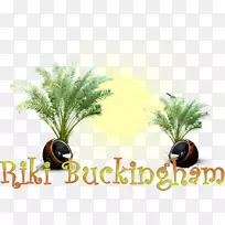 ���ƿ���������ֲ��-������