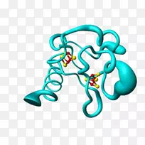 ���������л����߼�������-������