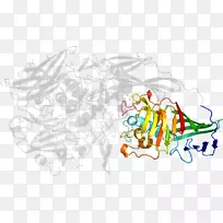 绘画平面设计线艺术剪贴画设计-空若网 绘画平面设计线艺术剪贴画设计-空若网