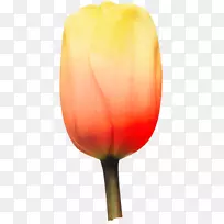 �����㻨�격��-������-������