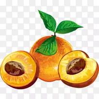 ��ѱ�ǩ��ͼ-����-������