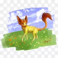 犬科动物野生动物尾野花卉-空若网 犬科动物野生动物尾野花卉-空若网