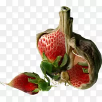 果实草莓八角座蔬菜荔枝-空若网 果实草莓八角座蔬菜荔枝-空若网