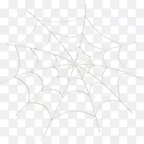 白色对称结构图案蛛网蜘蛛-空若网 白色对称结构图案蛛网蜘蛛-空若网