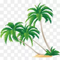 高清晰度视频显示分辨率壁纸.绿色椰子树-空若网 高清晰度视频显示分辨率壁纸.绿色椰子树-空若网