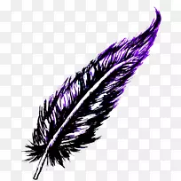 羽毛-羽毛-空若网 羽毛-羽毛-空若网