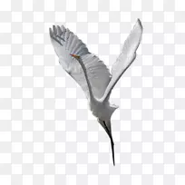 ����������-������