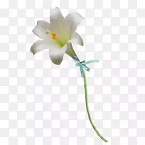 花卉设计复活节百合插花艺术-空若网 花卉设计复活节百合插花艺术-空若网