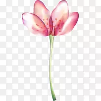 百合花-空若网 百合花-空若网